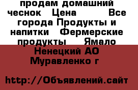 продам домашний чеснок › Цена ­ 100 - Все города Продукты и напитки » Фермерские продукты   . Ямало-Ненецкий АО,Муравленко г.